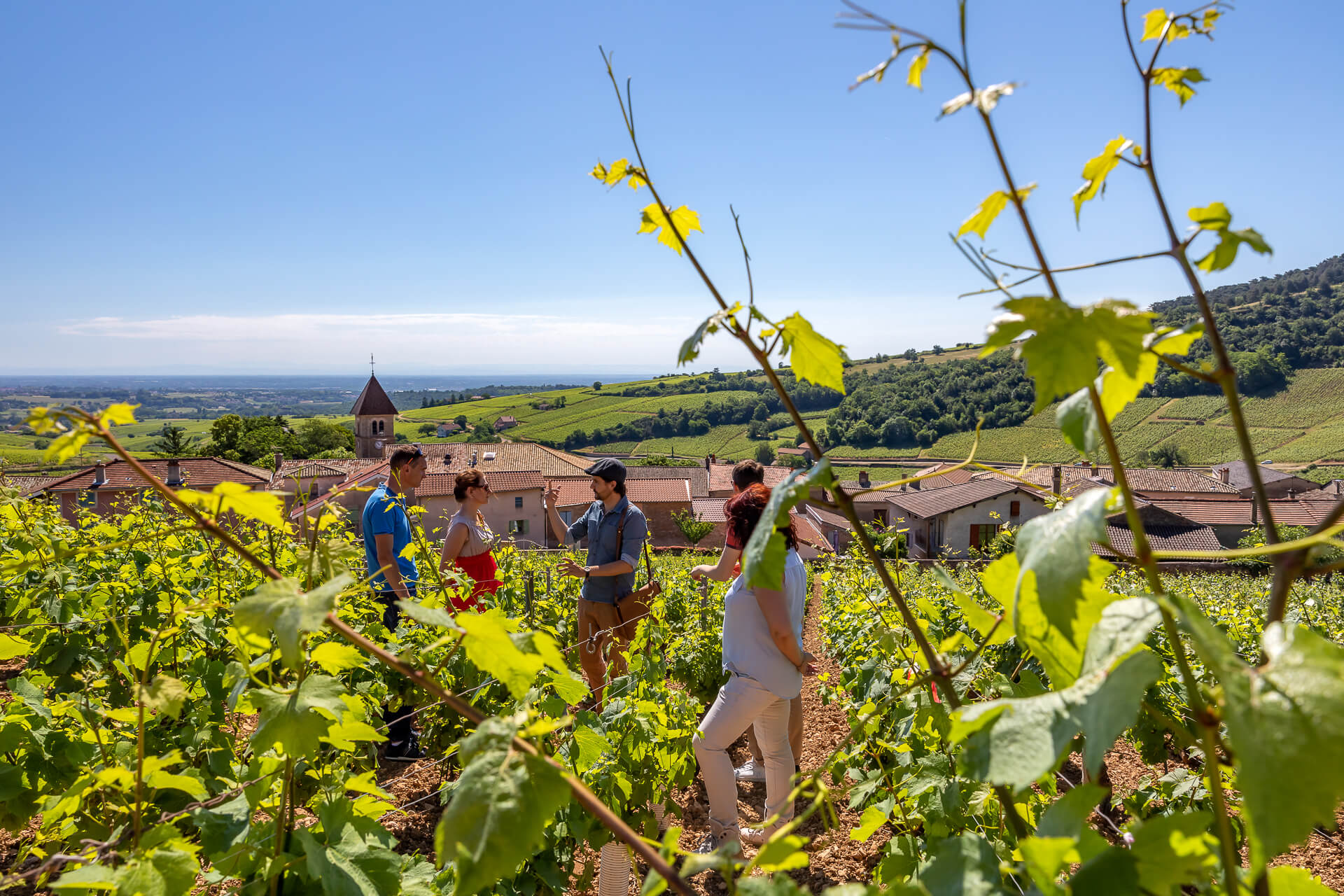 Œnobalade à Solutré-Pouilly