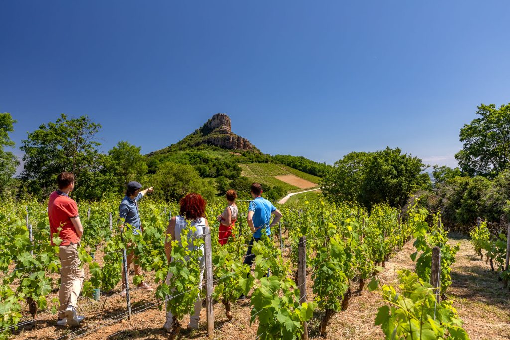 Balade œnotouristique, vignoble Mâconnais, la Roche de Solutré, Le Sud Bourgogne