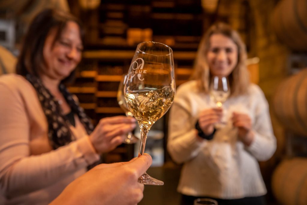 Dégustation vin, cave, Maison Auvigue, Fuissé, Mâconnais, Le Sud Bourgogne