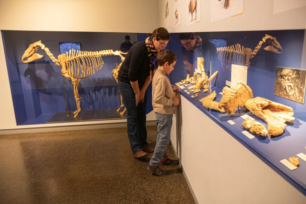 Visite famille, musée de Préhistoire, Solutré, Mâconnais, Le Sud Bourgogne