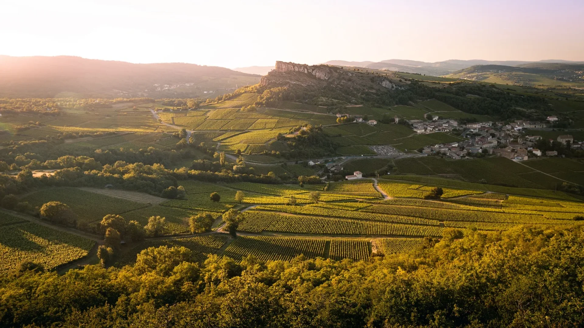 Le vignoble du Mâconnais, Le Sud Bourgogne