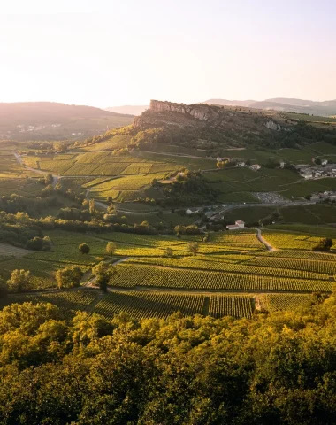 Le vignoble du Mâconnais, Le Sud Bourgogne