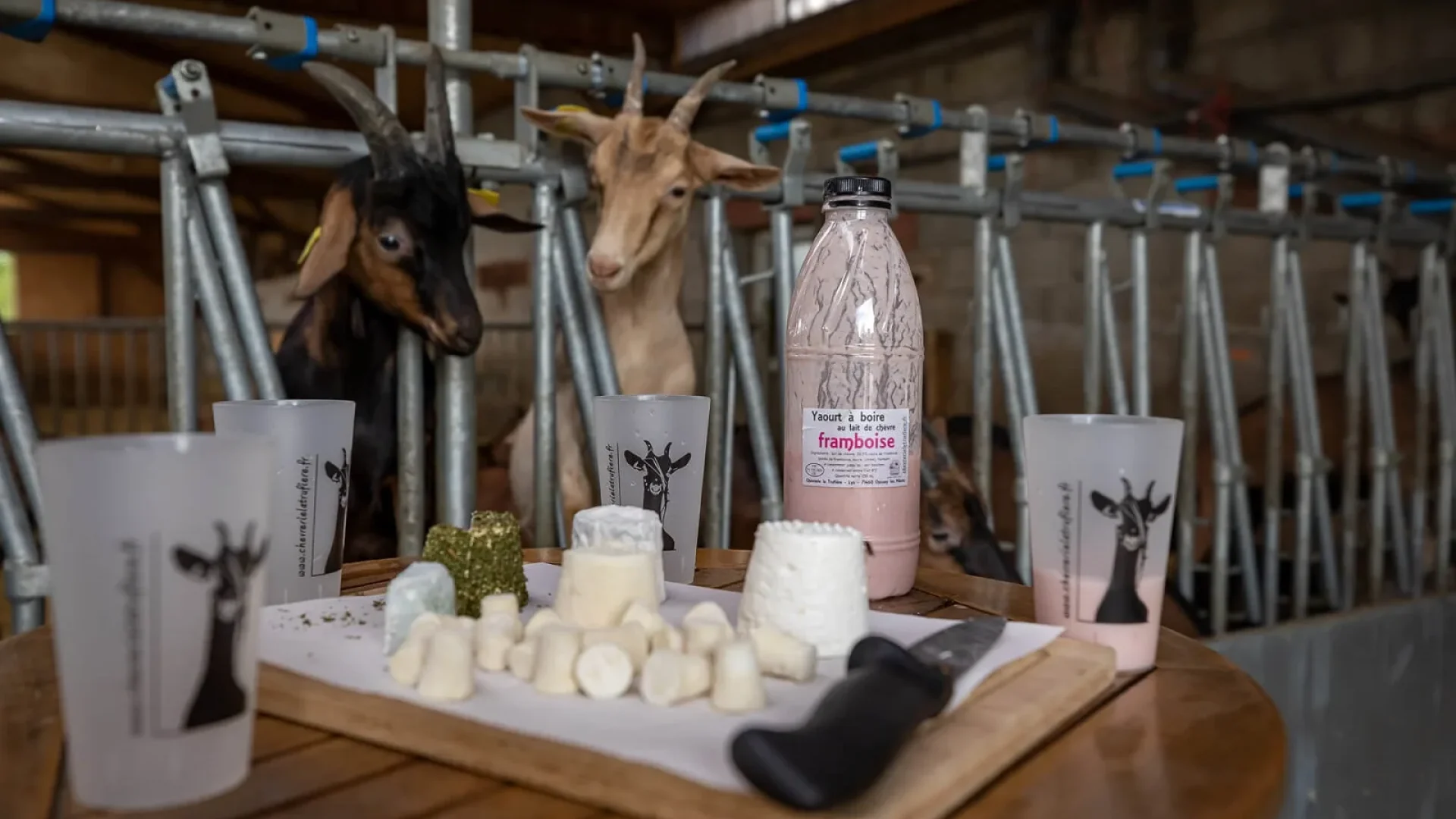 Fromages de chèvres, ferme, Mâconnais, Le Sud Bourgogne