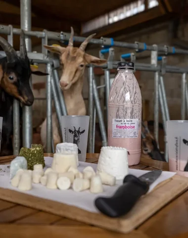 Fromages de chèvres, ferme, Mâconnais, Le Sud Bourgogne