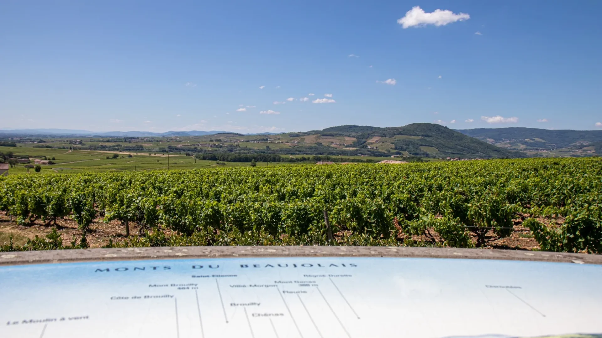 Vue Mont du Beaujolais, Mâconnais, Le Sud Bourgogne