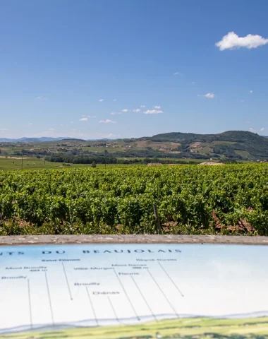 Vue Mont du Beaujolais, Mâconnais, Le Sud Bourgogne