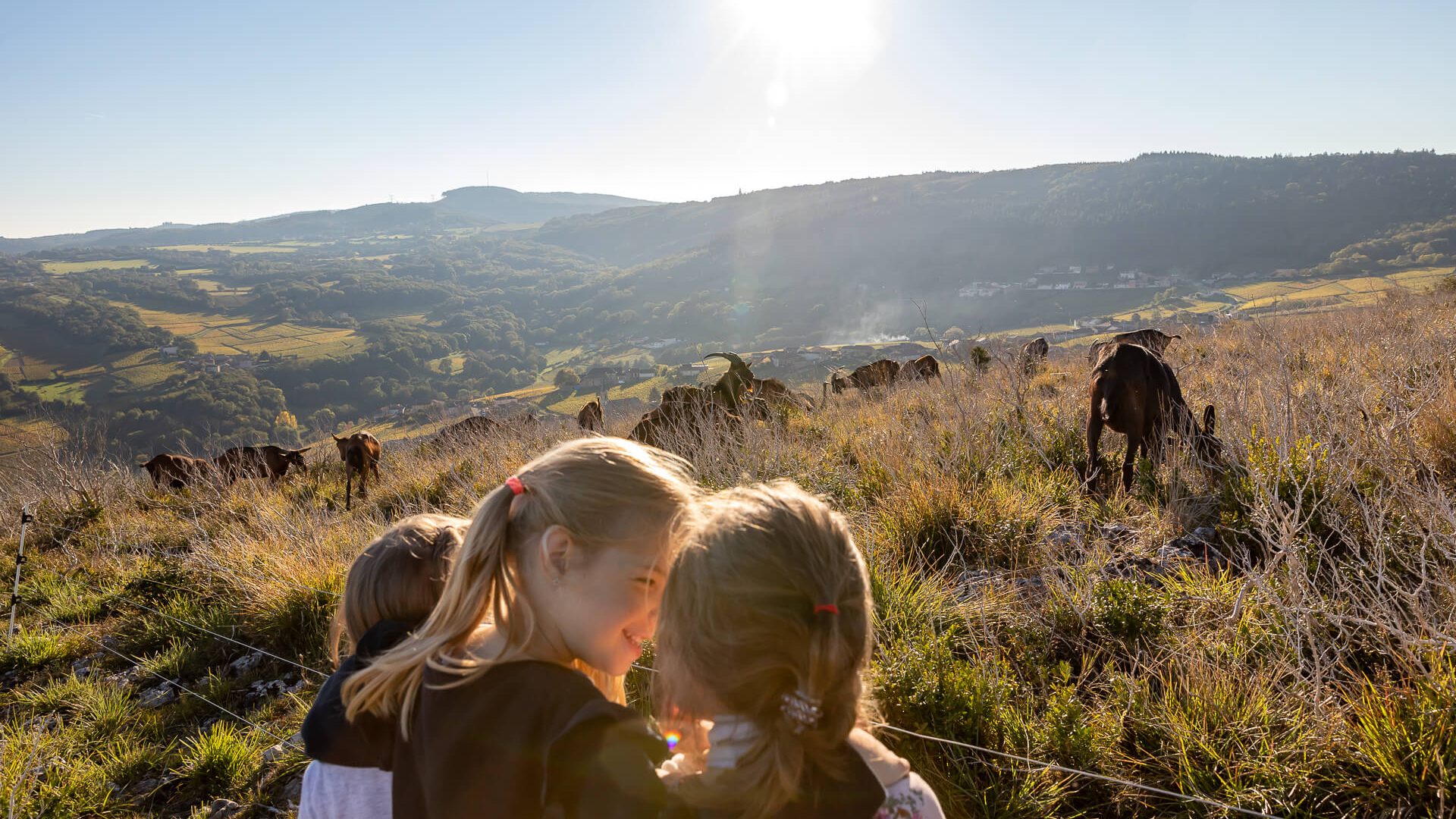 Enfants, chèvres, sommet roche de Vergisson, Grand Site de France Solutré Pouilly Vergisson, Mâconnais, Le Sud Bourgogne