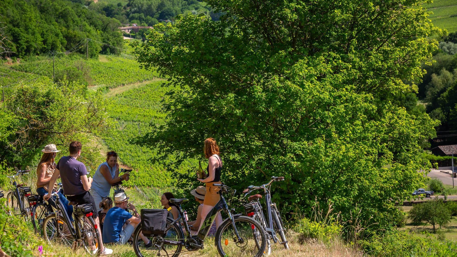 Dégustation vigne, Cyclotourisme, Mâconnais, Le Sud Bourgogne