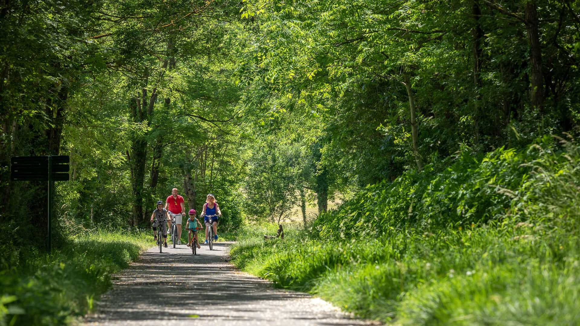 Cyclotourisme, La Voie Verte, Mâconnais, Grande Boucle de Bourgogne du Sud