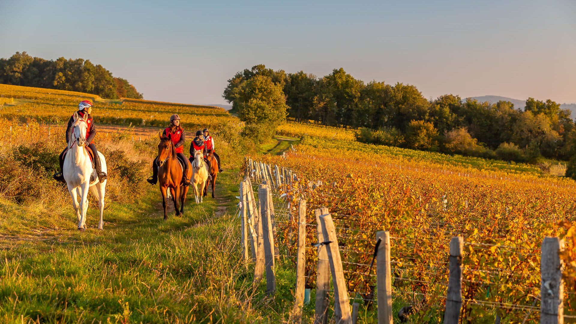 Randonnée à cheval, automne, Mâconnais, Le Sud Bourgogne