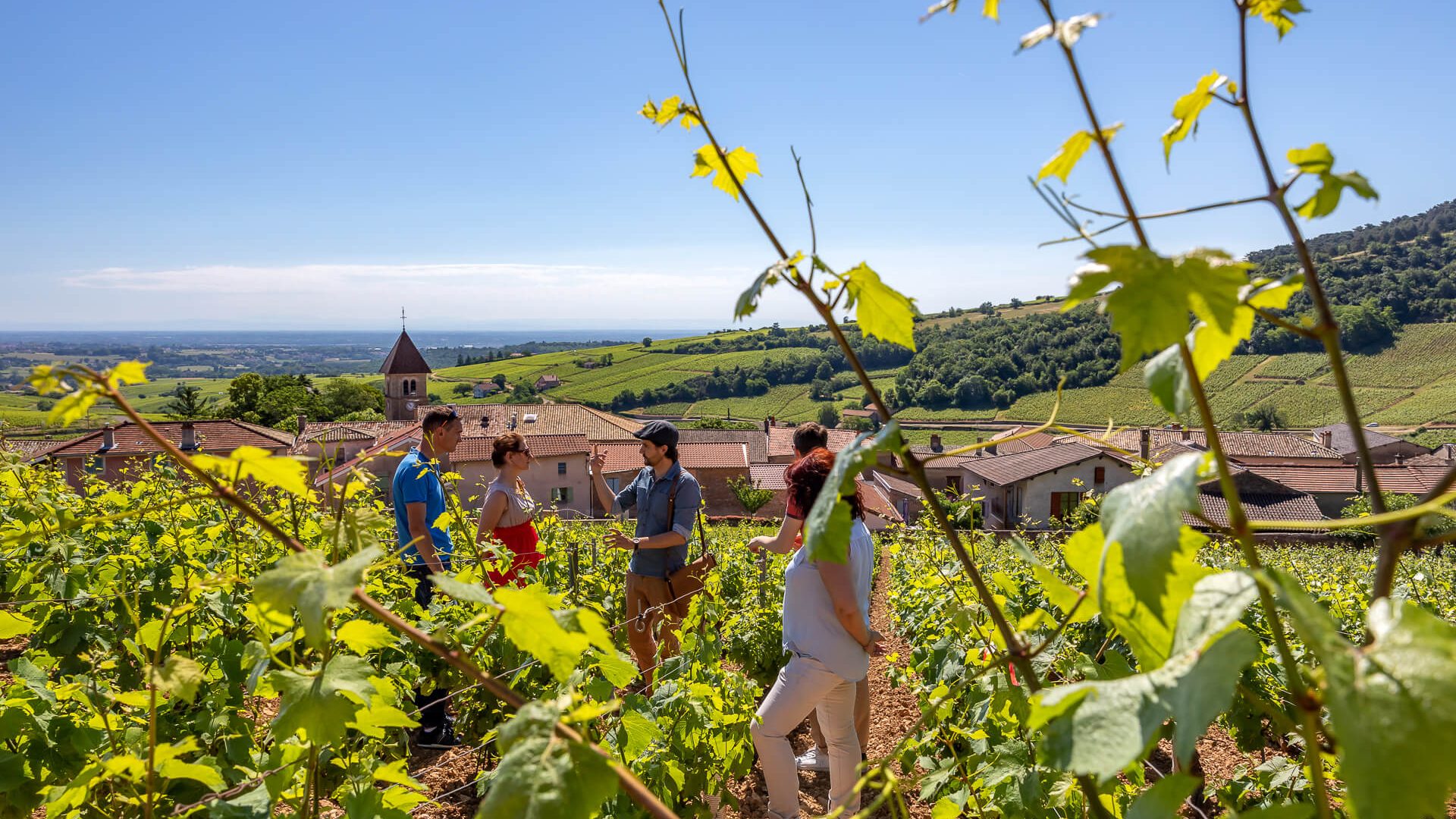 Terroir de Solutré - Berceau du Pouilly(Fuissé