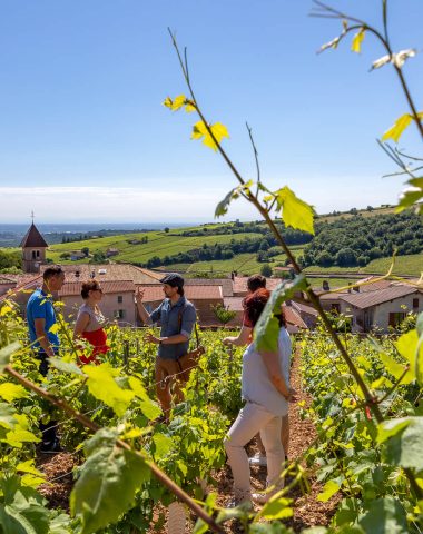 Terroir de Solutré - Berceau du Pouilly(Fuissé