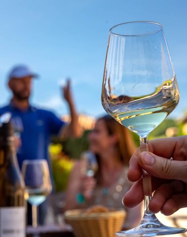 Dégustation, vins du Mâconnais, Château de Chasselas, Le Sud Bourgogne