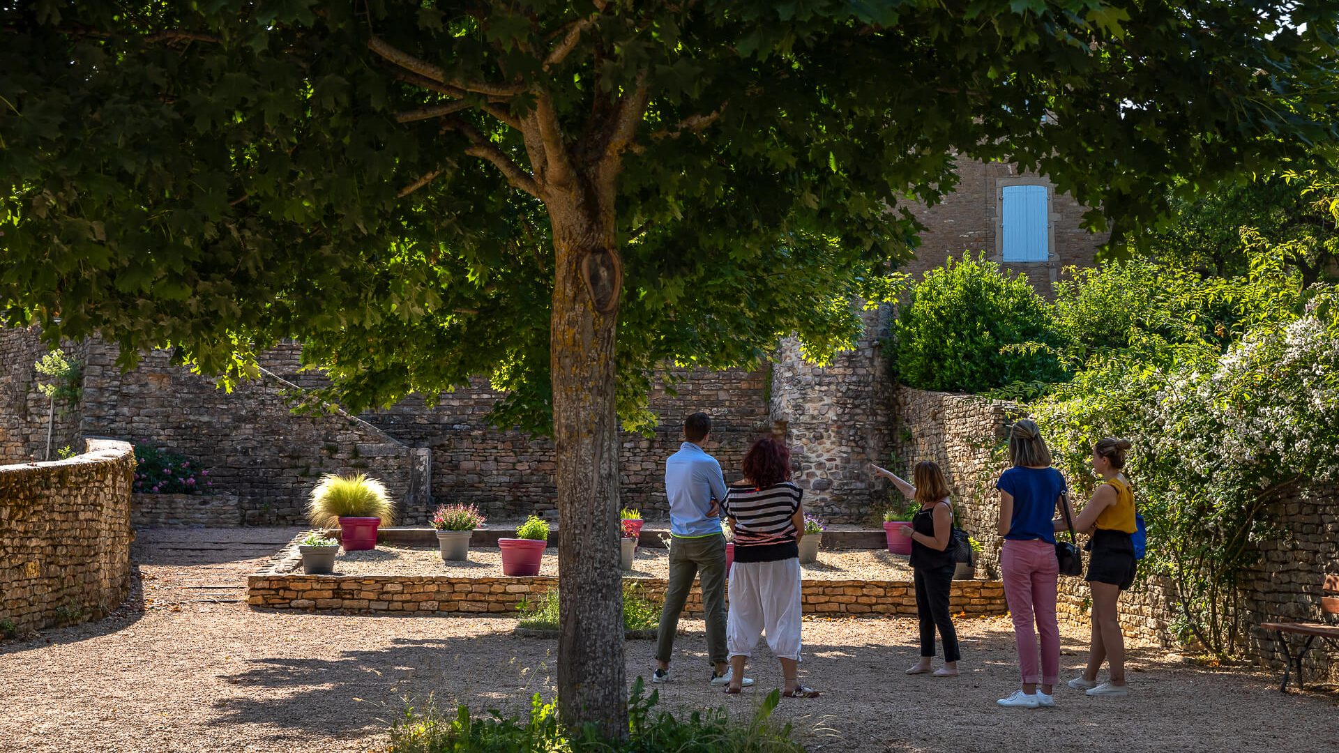 Visites guidées de Mâcon et des Divins Villages (ici: Berzé-la-Ville)