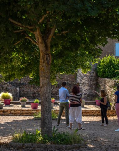 Visites guidées de Mâcon et des Divins Villages (ici: Berzé-la-Ville)