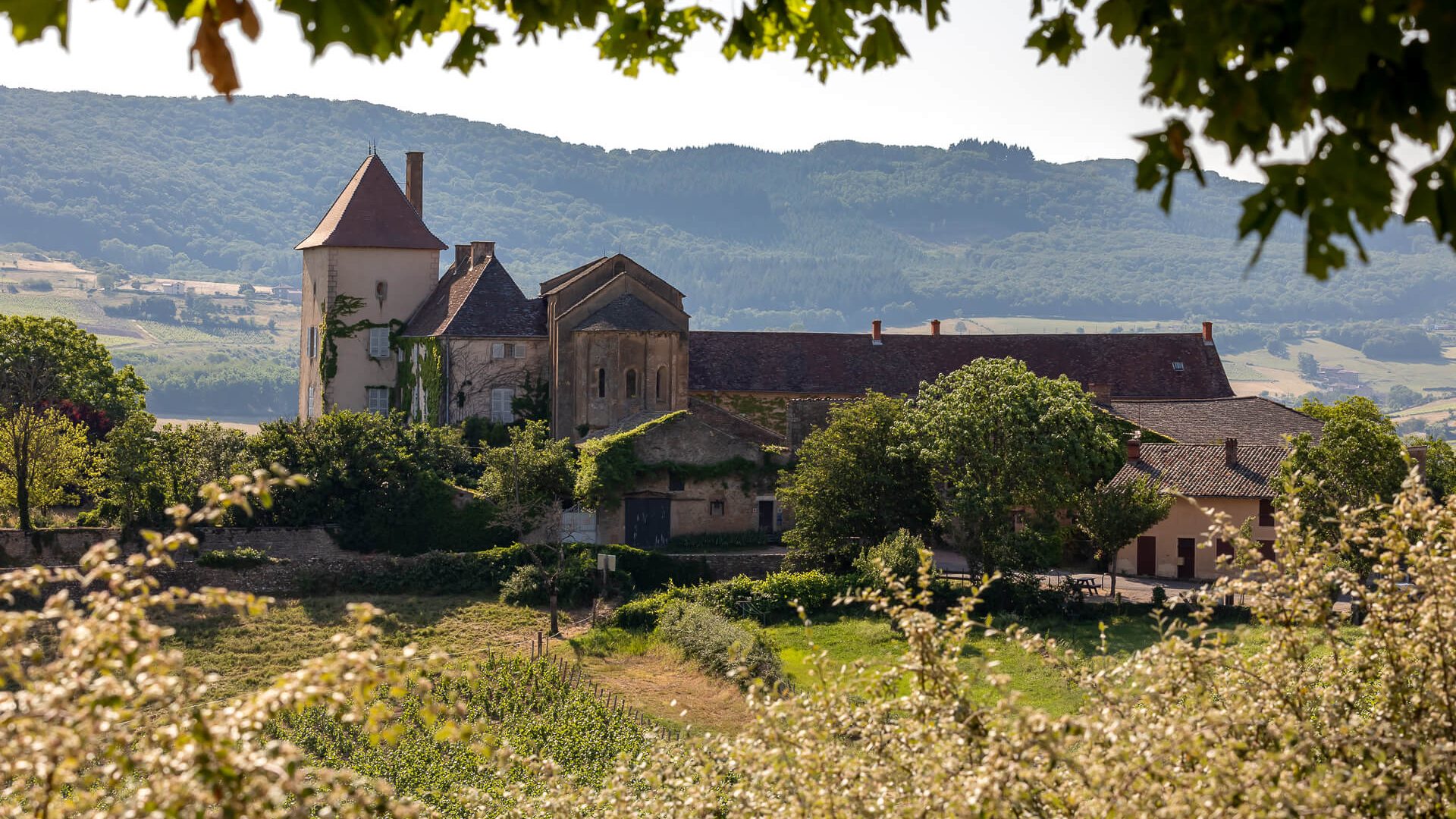 La Chapelle des Moines, Berzé-la-Ville, Mâcon, Le Sud Bourgogne