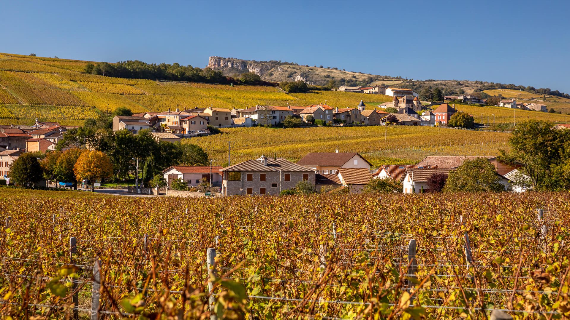 Village, vignes, automne, roche de Solutré, Mâconnais, Le Sud Bourgogne
