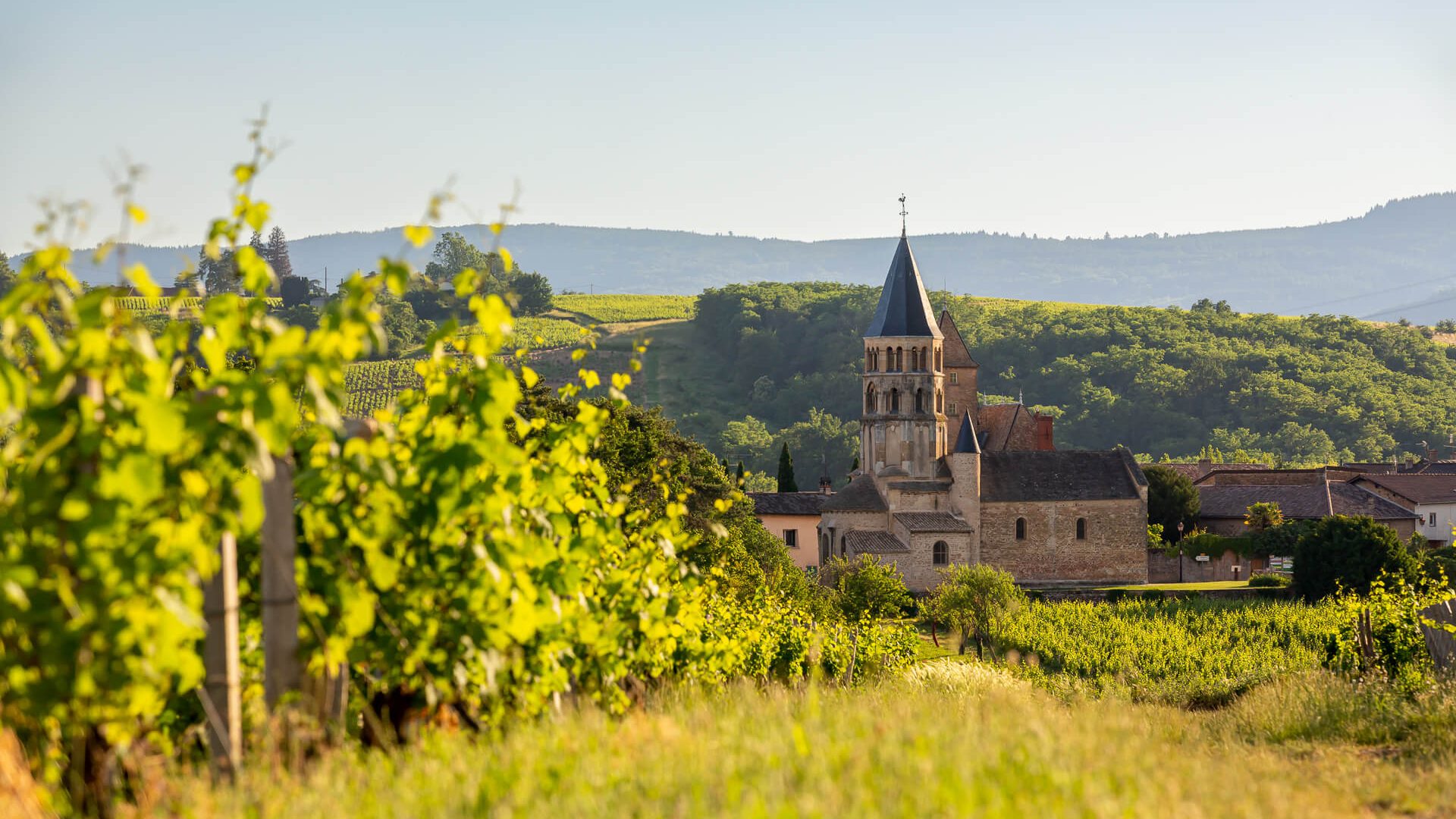 Vue Village Chânes, Vignoble Mâconnais,Le Sud Bourgogne