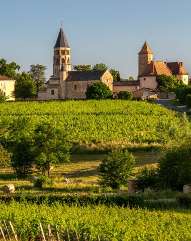 Vignoble de Chânes