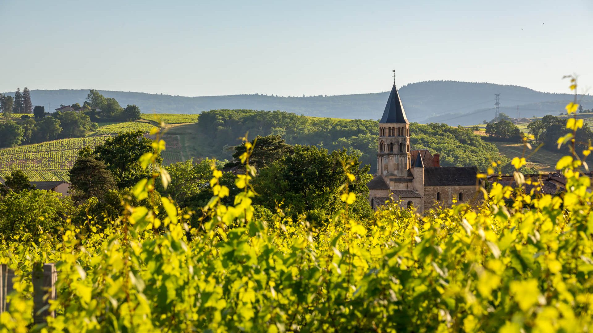 Paysage, Chânes, Mâconnais, Le Sud Bourgogne