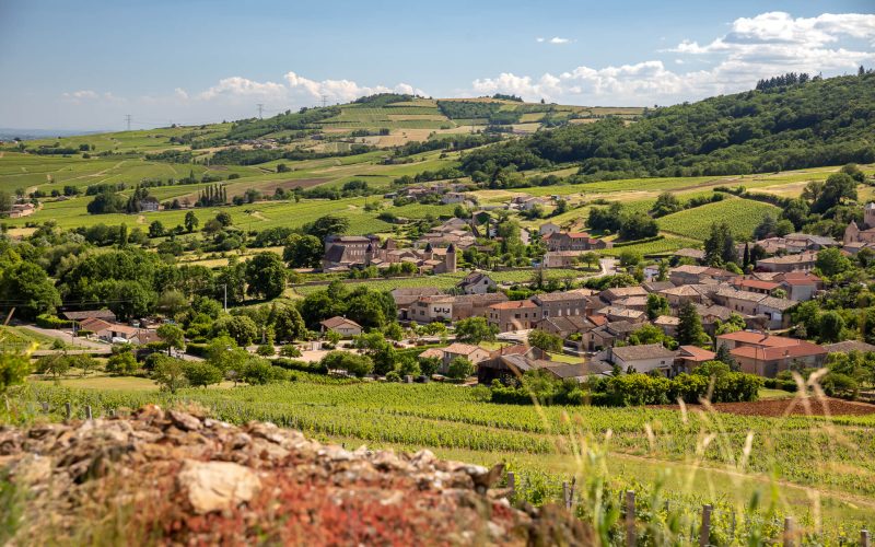 Paysage, village Chasselas, Mâconnais, Le Sud Bourgogne