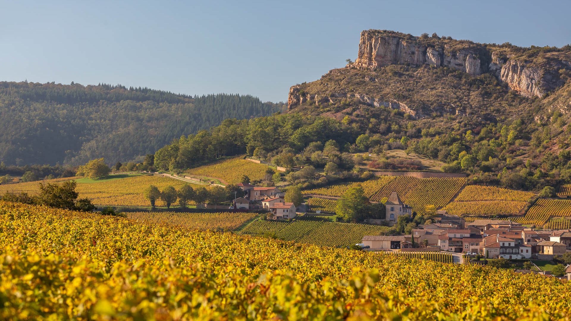 Vignoble mâconnais, La roche de Solutré