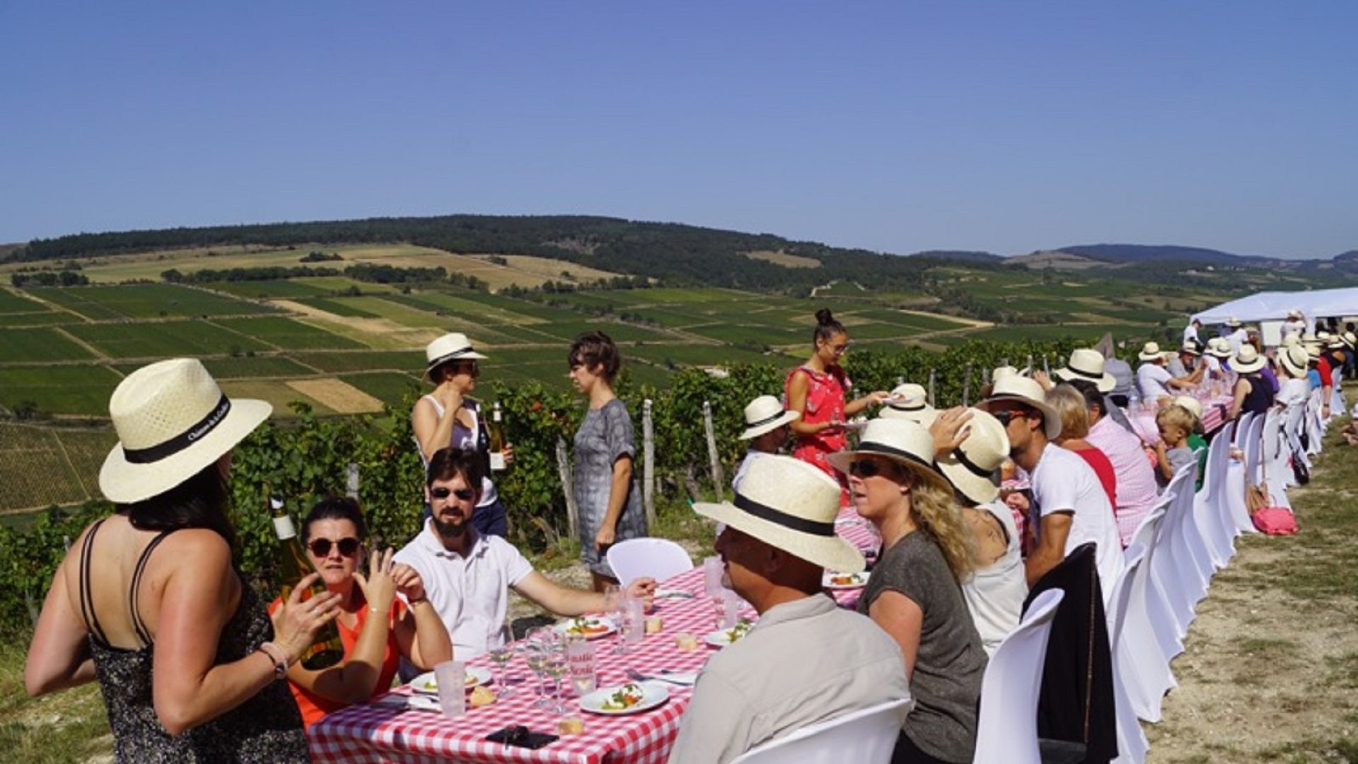 Banquet dans les vignes - Château de la Greffière - Mâconnais