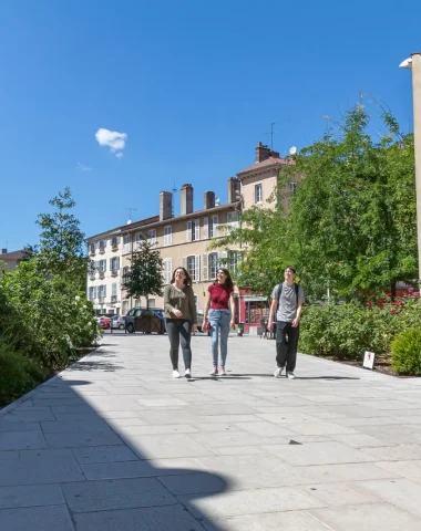 Visite de ville, Mâcon, Bourgogne