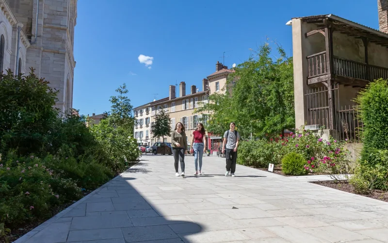 Visite de ville, Mâcon, Bourgogne